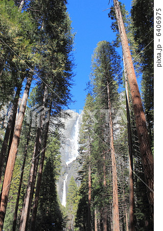 冬のヨセミテ国立公園 6406975