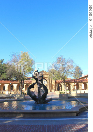 スタンフォード大学 スタンフォード大学 6406986