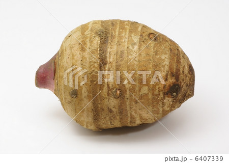 頭芋 頭芋 6407339