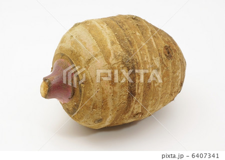 頭芋 6407341