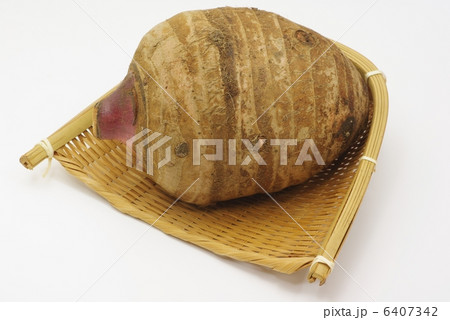 頭芋 頭芋 6407342