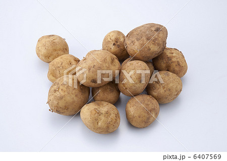 新ジャガイモ 新ジャガイモ 6407569