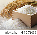 お米イメージ01 6407988