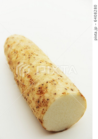 ナガイモ 6408280