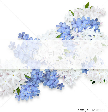 ジャスミンと青い花のフラワーアレンジメント のイラスト素材