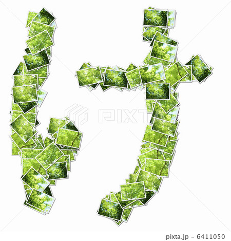 森の写真でひらがなの文字 6411050