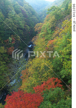 中津川渓谷の紅葉 6411096