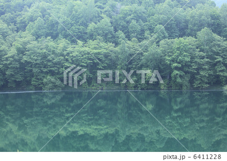 新緑の湖 6411228