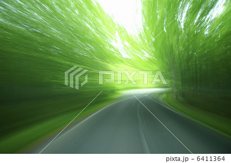 流れる新緑の道 流れる新緑の道 6411364