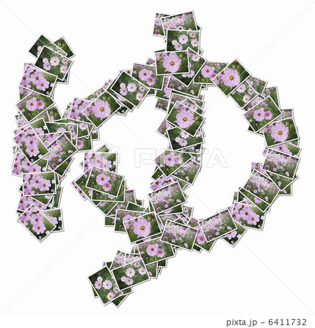 花の写真でひらがな 花の写真でひらがな 6411732