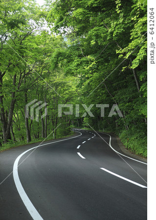 新緑の道 6412064
