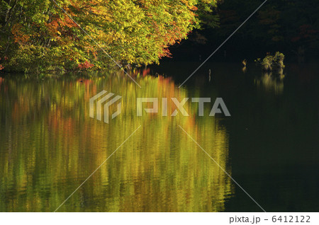 曲沢沼の紅葉 曲沢沼の紅葉 6412122