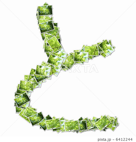 森の写真でひらがなの文字の写真素材 森の写真でひらがなの文字の写真素材