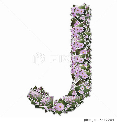 花の写真でアルファベットの大文字 花の写真でアルファベットの大文字 6412284