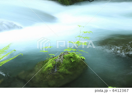 奥入瀬渓流 6412367
