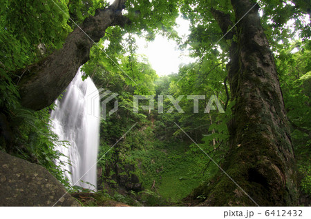 小野川不動滝 6412432