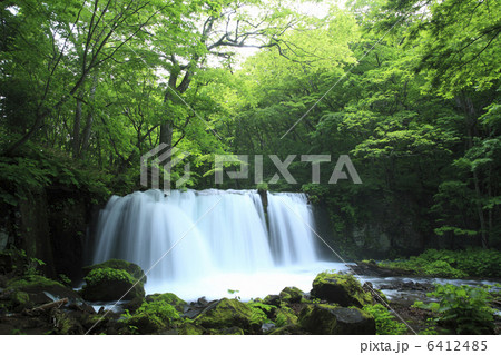 奥入瀬渓流の銚子大滝 6412485