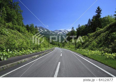 十勝岳へ続く道 十勝岳へ続く道 6412877