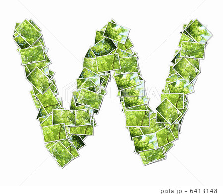 新緑の写真でアルファベットの小文字 6413148