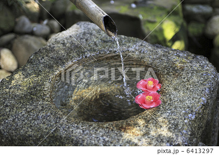 つくばいに椿 6413297