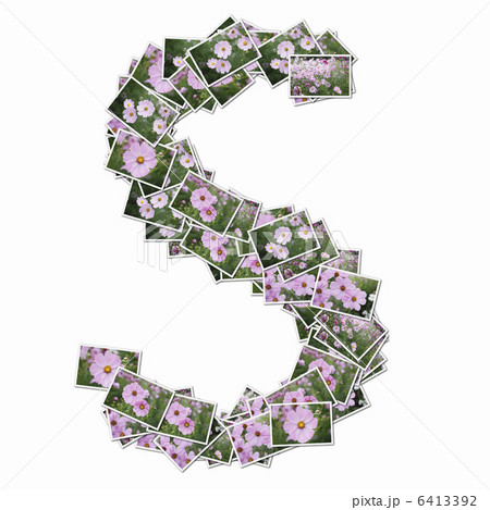 花の写真でアルファベットの小文字 6413392