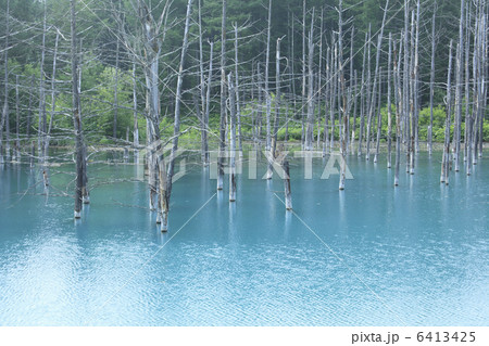 青い池 6413425