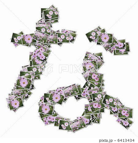花の写真でひらがな 6413434