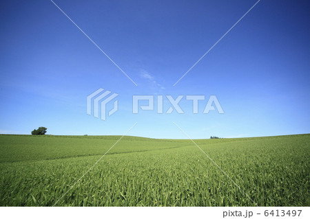 緑の丘と空 6413497