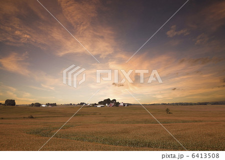 アイオワのコーン畑の夕暮れ アイオワのコーン畑の夕暮れ 6413508