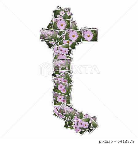 花の写真でアルファベットの小文字 花の写真でアルファベットの小文字 6413578