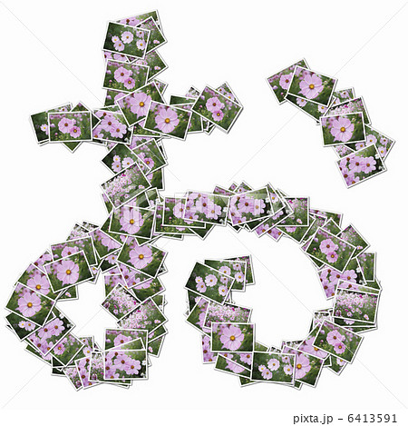 花の写真でひらがな 6413591