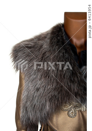 fur collar 6413954