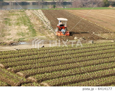 農作業 農作業 6414177
