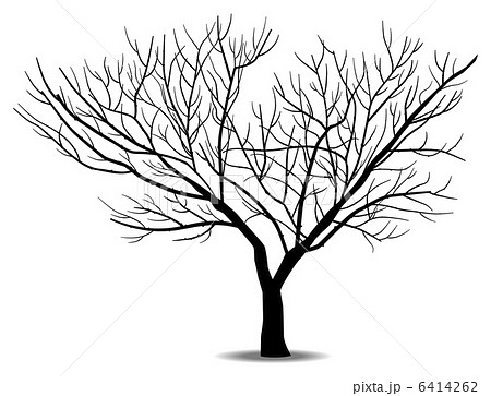 あなたのためのイラスト ラブリーシルエット 木 の 枝 イラスト