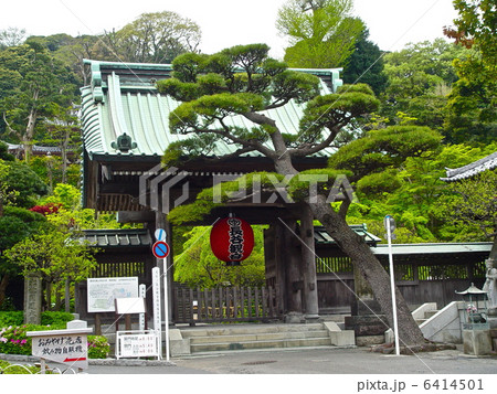 長谷寺の「山門」（鎌倉市長谷／神奈川県） 6414501