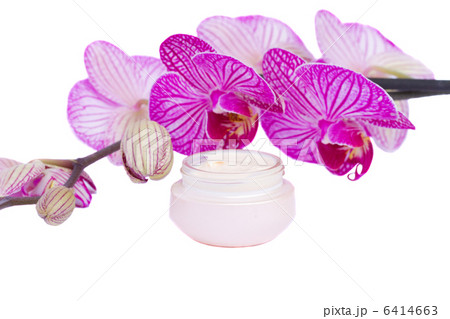 moisturizer cream and orchid flower 6414663