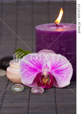 orchid spa orchid spa 6414714