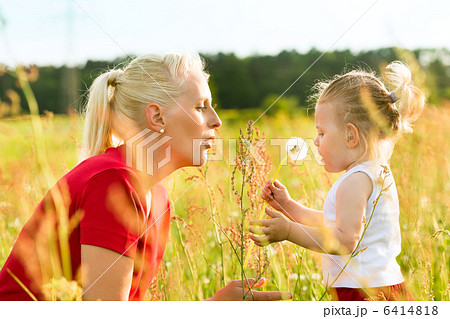 Family summer - blowing dandelion seeds 6414818