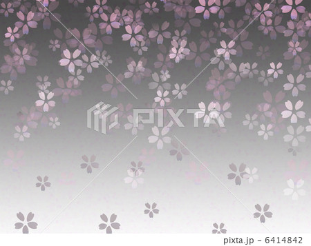 夜桜 桜吹雪 満開 桜 花見 花びら 春 和 千代紙 和柄 のイラスト素材