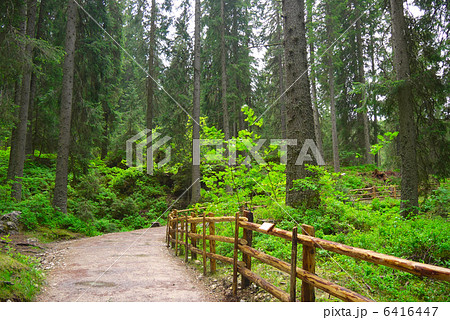 カレッツァ湖の遊歩道 カレッツァ湖の遊歩道 6416447