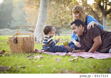 Happy Mixed Race Ethnic Family Having Picnic In The Park 6417324