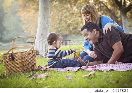 Happy Mixed Race Ethnic Family Having Picnic In The Park Happy Mixed Race Ethnic Family Having Picnic In The Park 6417325