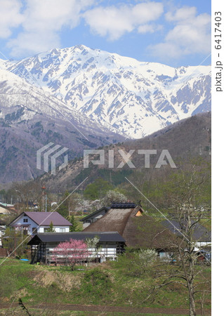早春の白馬村 6417403