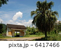 南国の無人駅 6417466