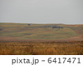 日本の草原 6417471