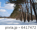雪原と林 6417472