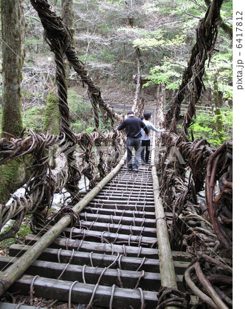 奥祖谷二重かずら橋 6417812