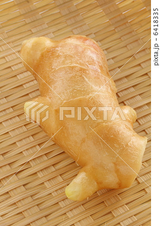 ショウガ ショウガ 6418335