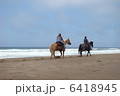 浜辺の乗馬 6418945