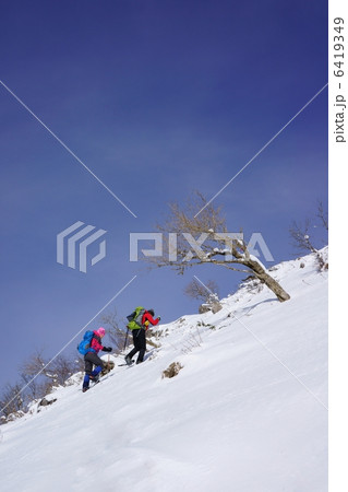 スノーシュー登山 スノーシュー登山 6419349